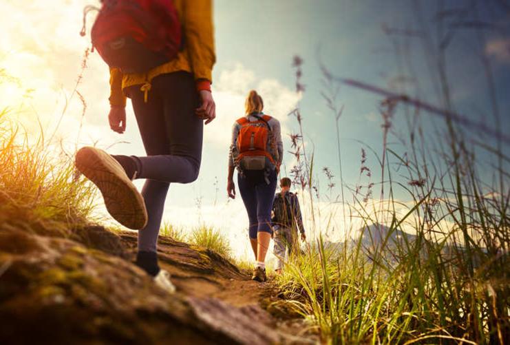 Group of hikers walking down a trail