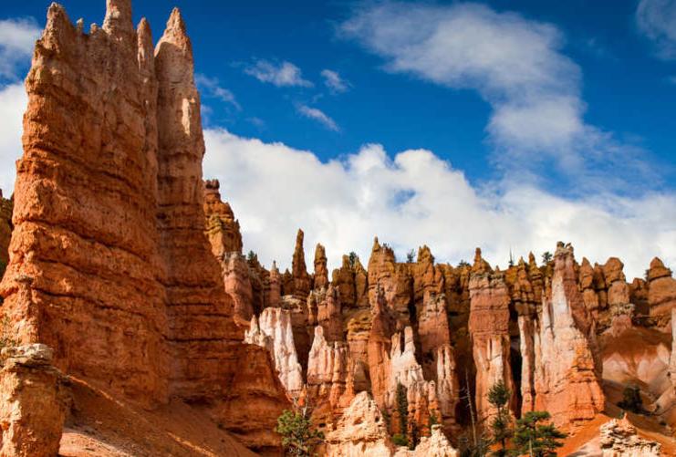 View of hoodoos in Bryce Canyon National Park