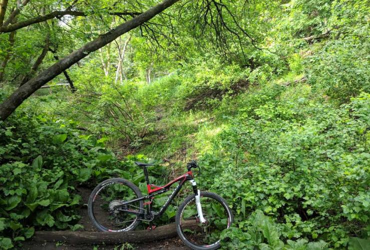 Mountain bike leaning against trees in the Mueller Park biking area
