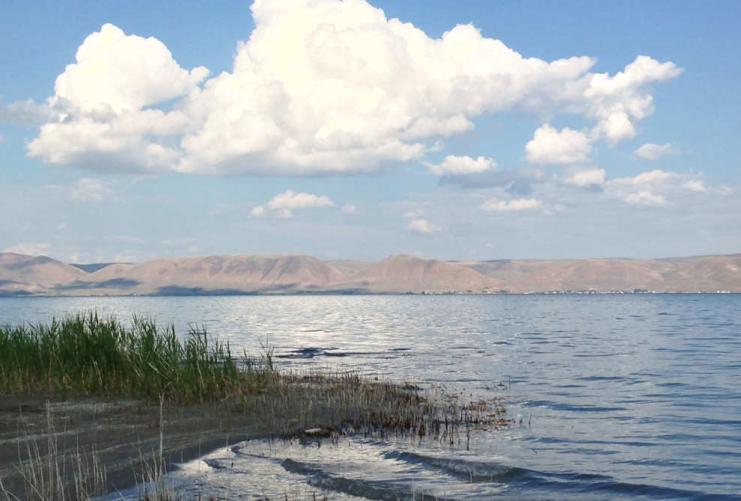 Water and reeds at Bear Lake Utah
