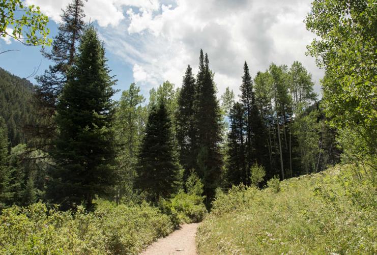 Trail to Donut Falls in Big Cottonwood Canyons