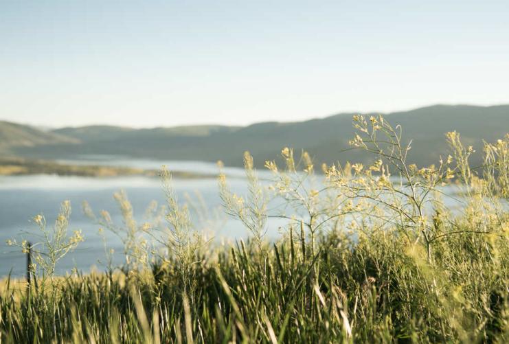 View of grassy hill with Jordanelle State Park