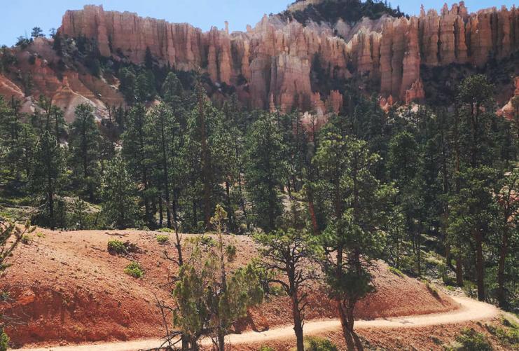 Redrock formations or hoodoos in Bryce Canyon in the Fairyland Loop Hiking Trail area with pine trees.
