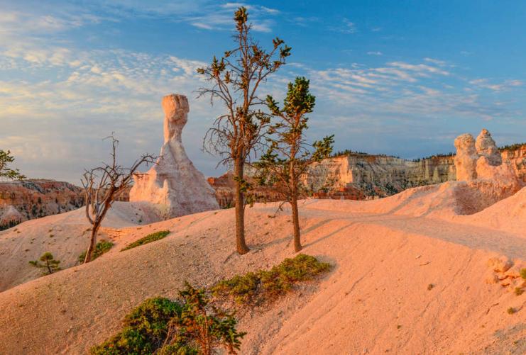 Bryce Canyon White Hoodoo