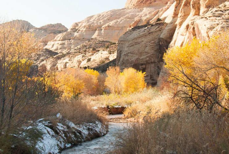 Desert Canyon With Autumn Leaves