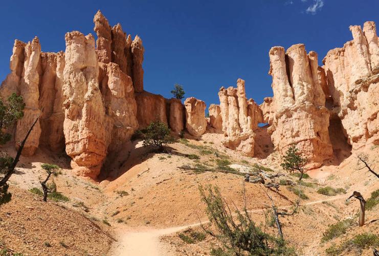 Hoodoos in Bryce Canyon in the Fairyland Loop Hiking Area