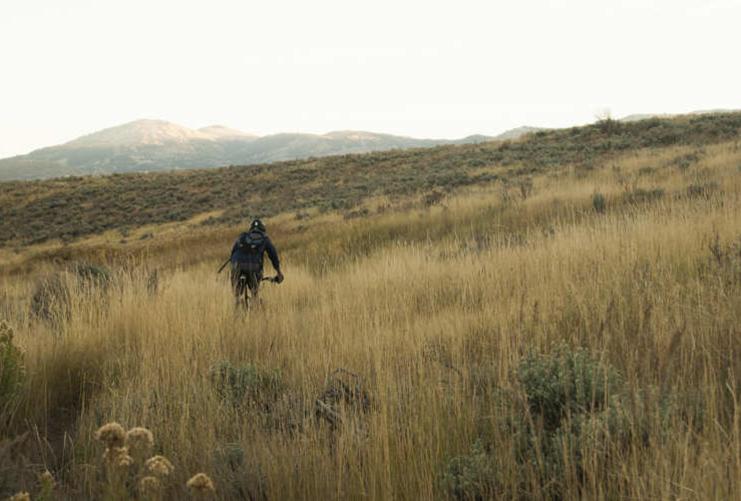Mountain Bike Rider in a grassy meadow