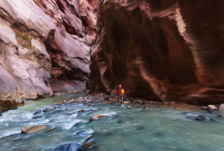 The Narrows of Zion Canyon Hike