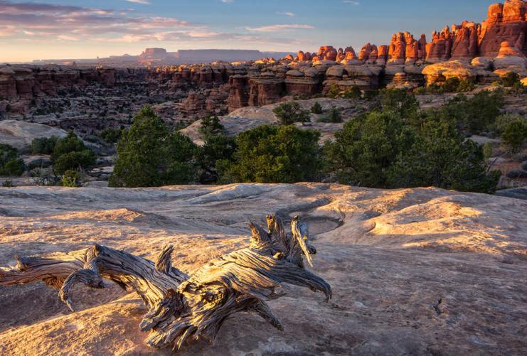 Sunset view of rock formations in the Needles section of Canyonlands