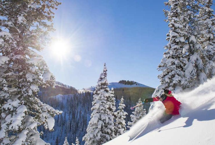 Skier in red jacket