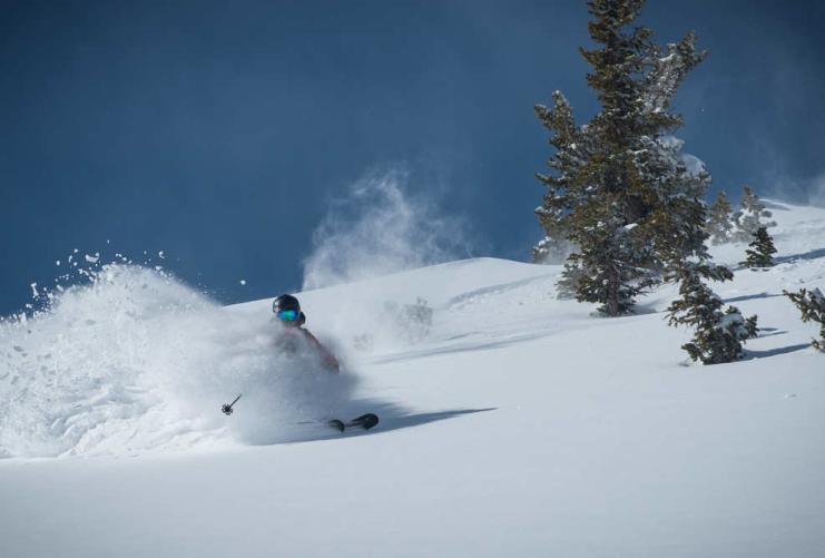 Skier in Fresh Powder