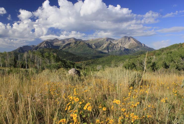 Mt. Timpanogos