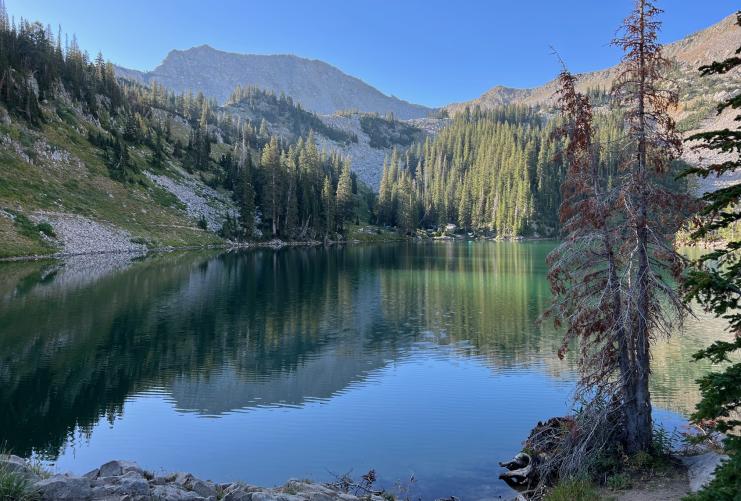 Red Pine Lake