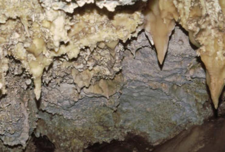Stalagmites in Timpanogos Caves