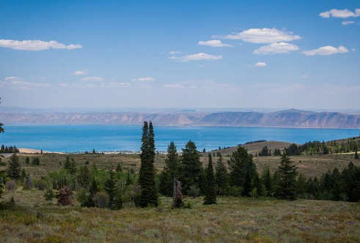 View of blue water at Bear Lake