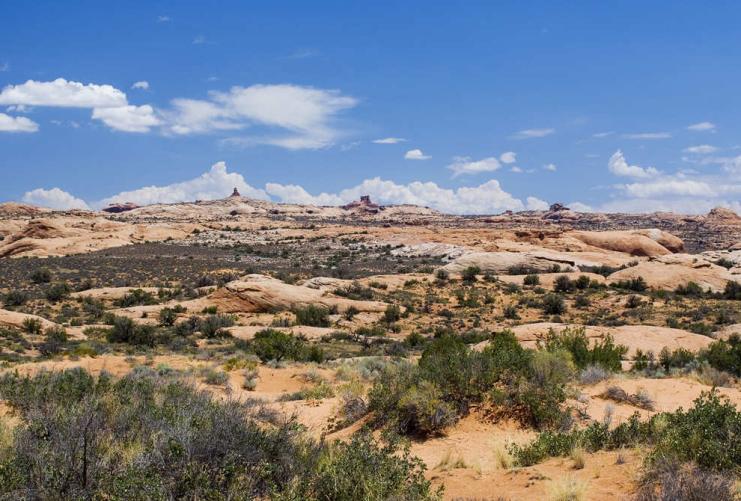 Petrified Sand Dunes Viewpoint in Arches National Park near Moab, Utah