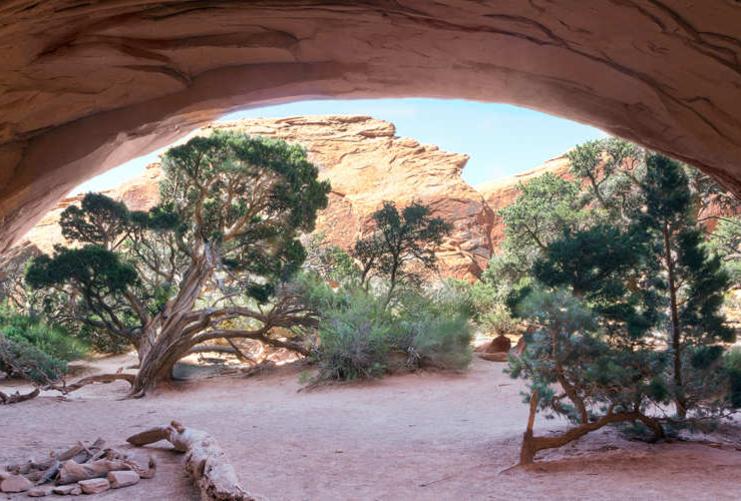 View of pine trees and sand beneath Sandstone Arch in Arches National Park