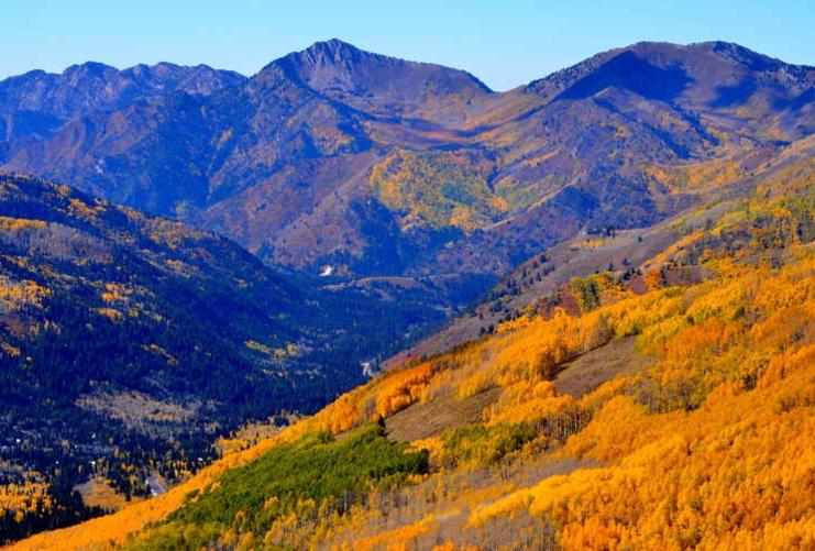 Fall leaves in the Wasatch Front mountain range