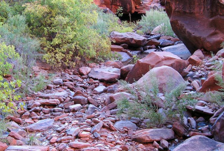 Rocky stream bed in Southern Utah