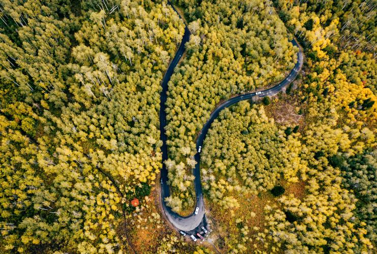 Alpine Loop
