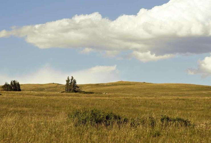 Fields in Duchesne County Utah