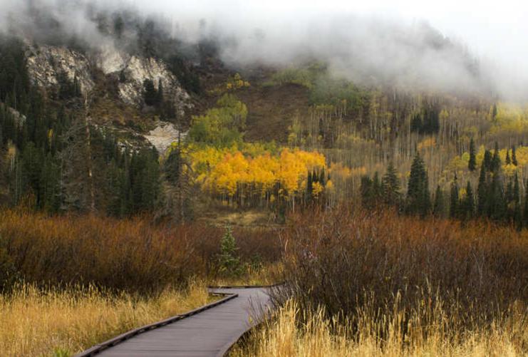 Yellow leaves and low clouds over Silver Lake Utah