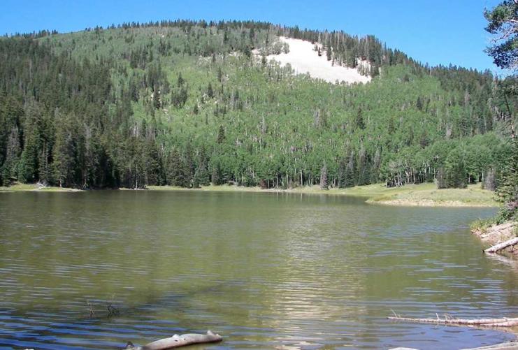 Mountain lake surrounded by pine trees