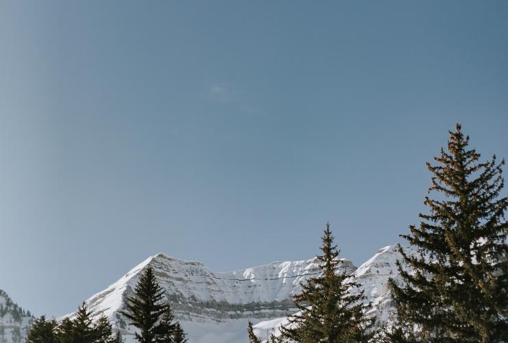 Sundance