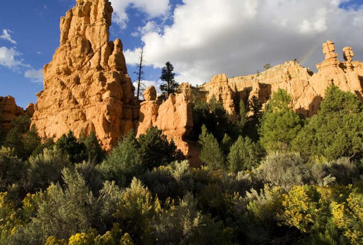 Sandstone Spires near Kanab Utah
