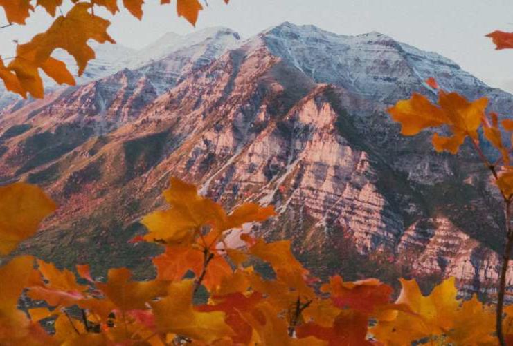 Fall leaves in the Wasatch Front by Mount Timpanogos