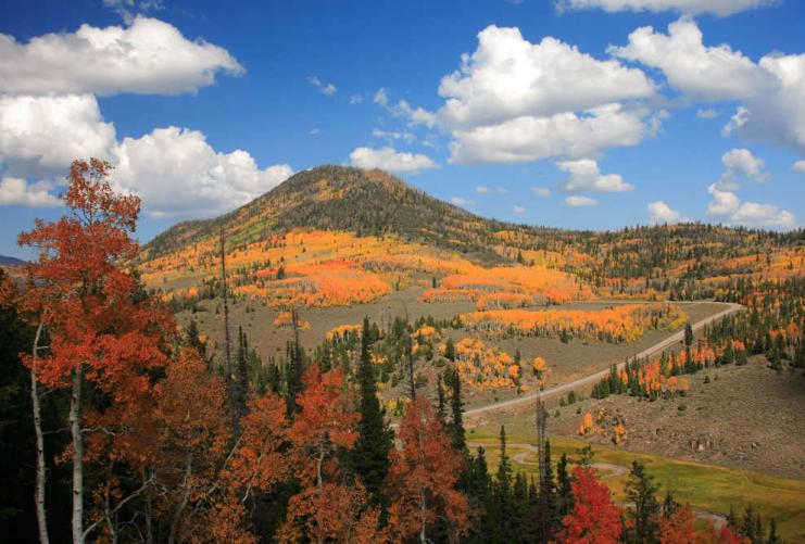 Utah Mountain with Fall Leaves