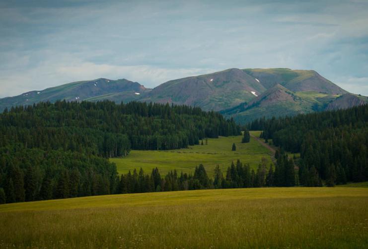 Meadows and forest stretching over mountains