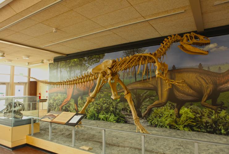 Dinosaur National Monument Exhibit - photo by Rick Maw