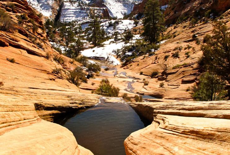 Water filled potholes on the Many Pools Trail in Zion National Park