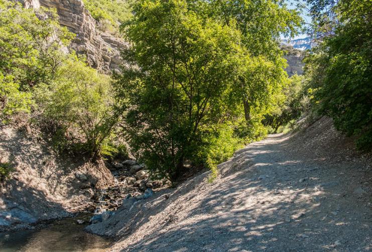 Shady trail to Battle Creek Falls
