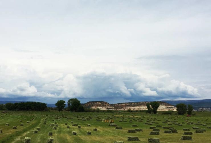 Field of Hay Bales in Southern Utah