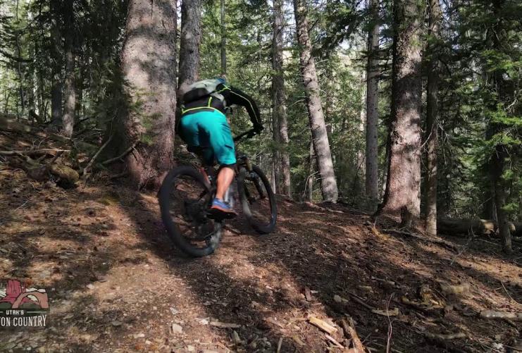 Mountain Biking