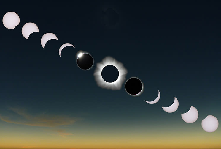 TSE2012_Sequence_RickFienberg_crop_96ef2b6f-826d-4786-aace-b23bc8b84e64
