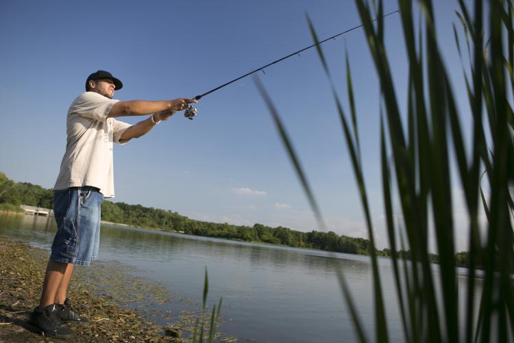 Man Fishes at Busse Woods