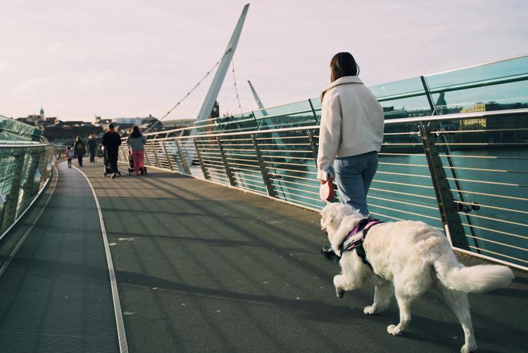 Dog Friendly Itinerary Derry~Londonderry - 04