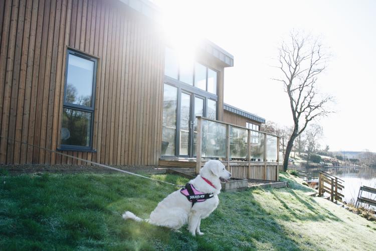 Dog Friendly Itinerary Fermanagh - 03