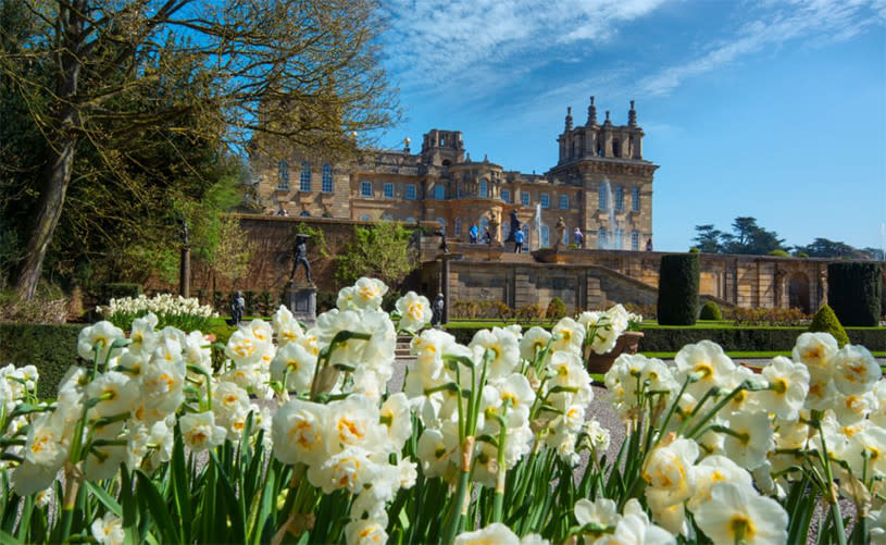 Blenheim Palace - credit Blenheim palace