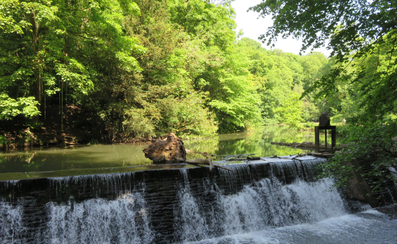 Weir in forest