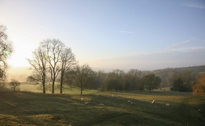 Newark Park in winter sunlight  -credit Cara Laver National Trust