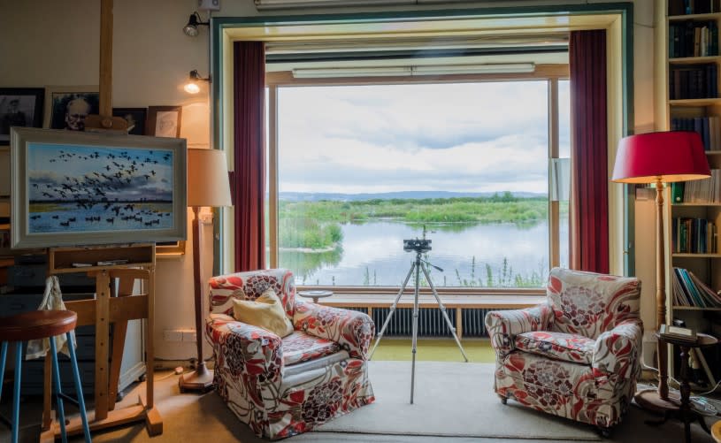Study in Scott House Museum at WWT Slimbridge - Credit WWT and Rupert Marlow