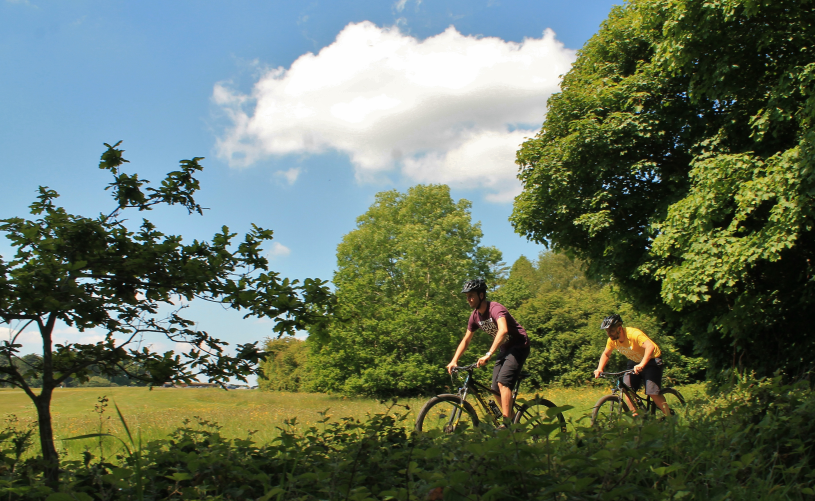 People on mountain bikes in field