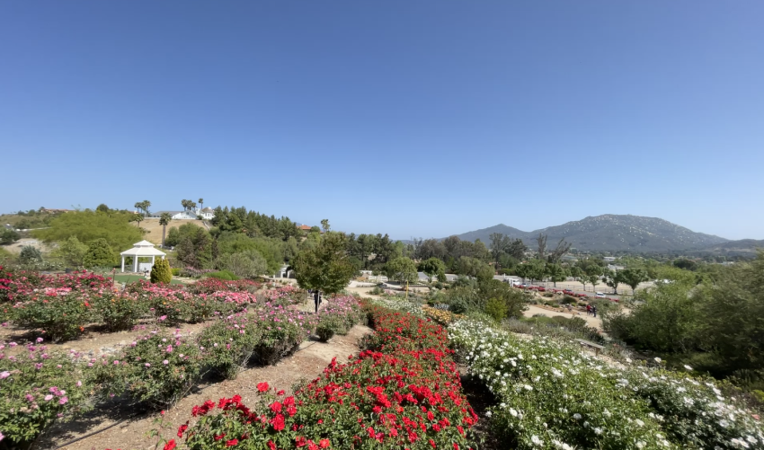 Gardens in Temecula Valley