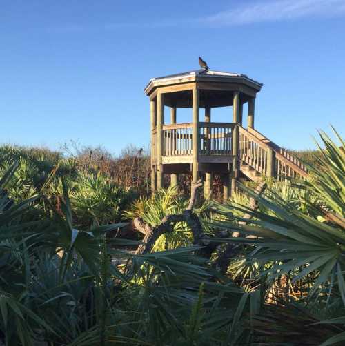 Ponce Preserve Observation Tower