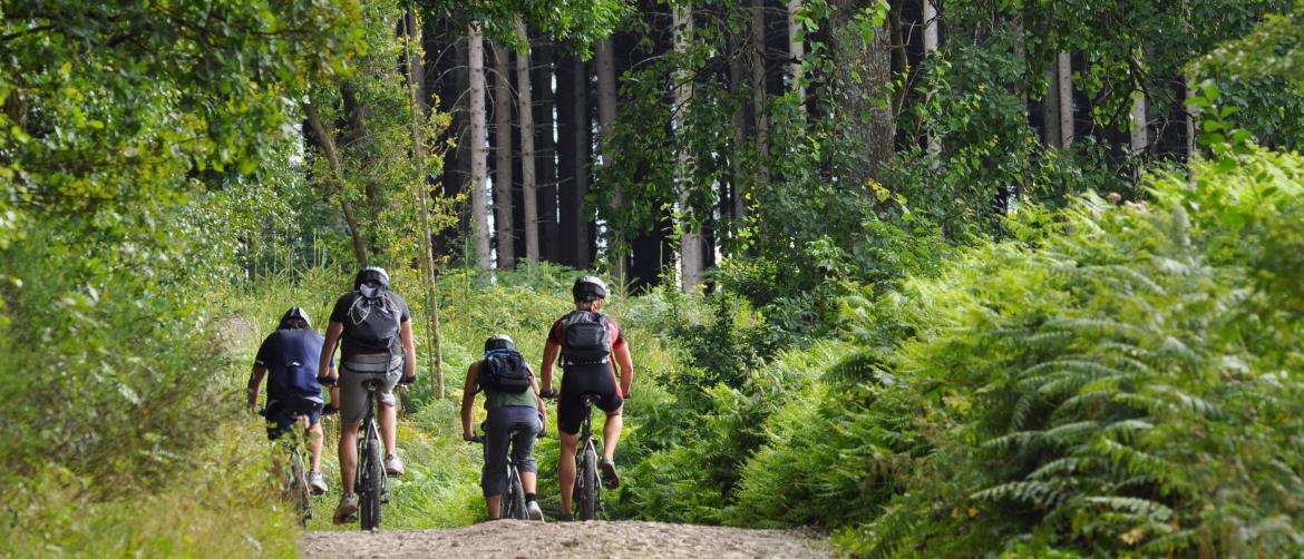 forest park bike trails