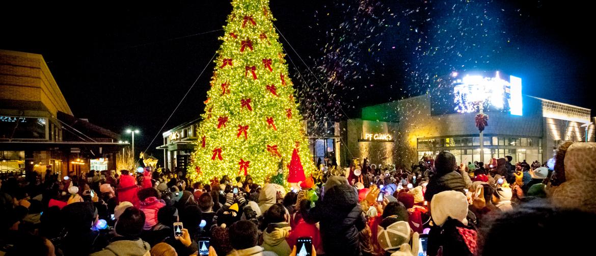 Fun And Festive Things To Do In Northern Virginia This Holiday Season 2020